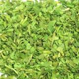 Freeze Dried Coriander,100% Natural FD Coriander,Healthy and High Quality Food